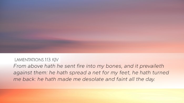 Lamentations 1:13 KJV Bible Verse Image