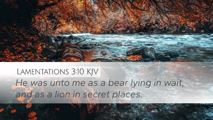 Lamentations 3:10 KJV Bible Verse Image