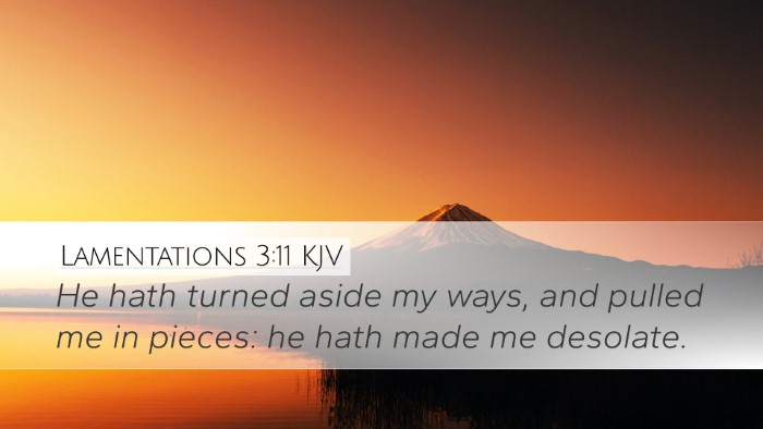 Lamentations 3:11 KJV Bible Verse Image