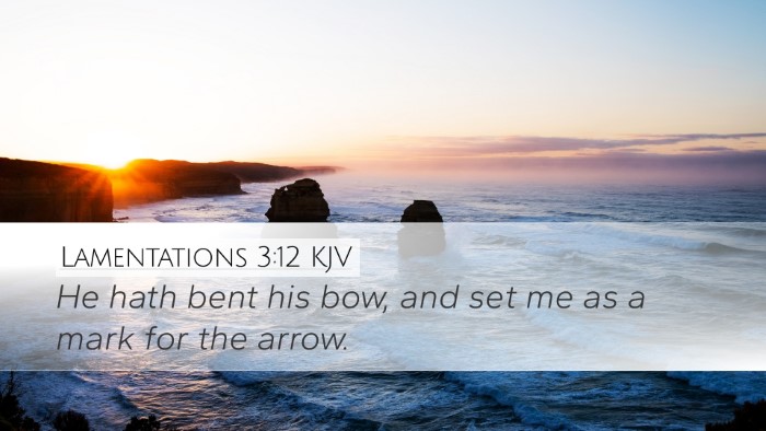 Lamentations 3:12 KJV Bible Verse Image