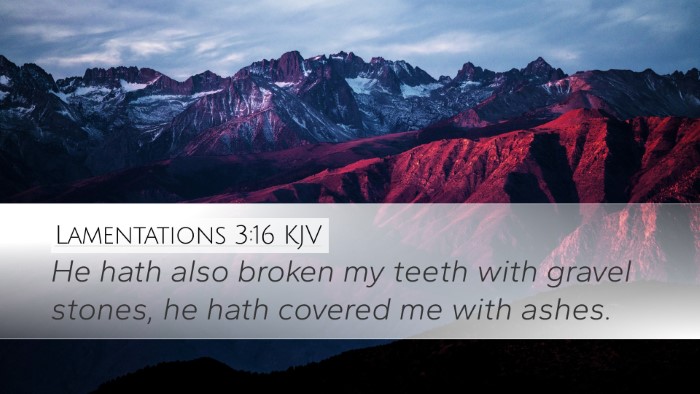 Lamentations 3:16 KJV Desktop Wallpaper - He hath also broken my teeth with gravel stones, - Desktop Bible Verse Wallpaper