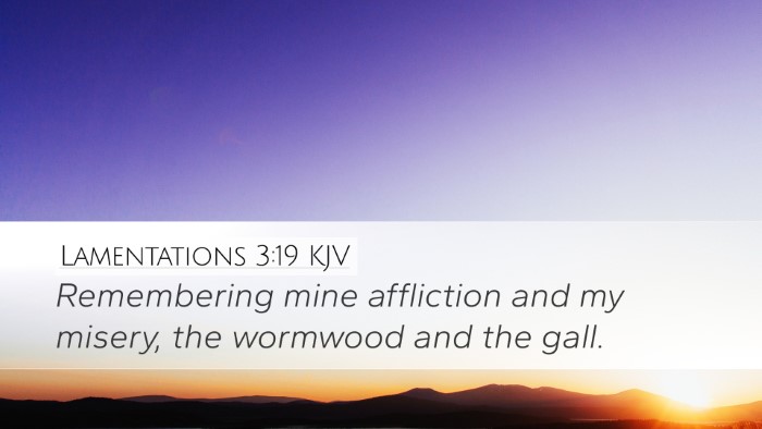Lamentations 3:19 KJV Bible Verse Image