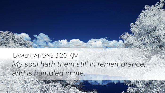 Lamentations 3:20 KJV Bible Verse Image