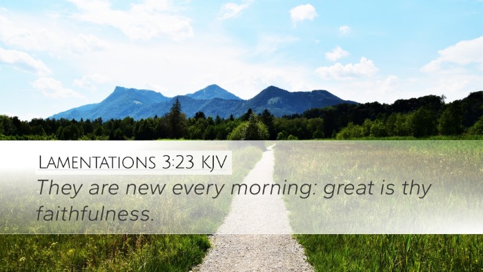 Lamentations 3:23 KJV Bible Verse Image