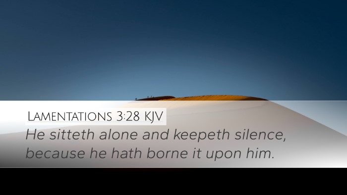 Lamentations 3:28 KJV Bible Verse Image