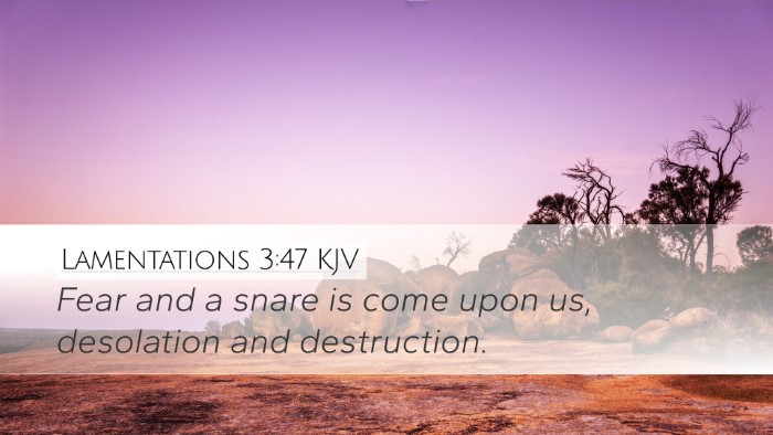 Lamentations 3:47 KJV Bible Verse Image