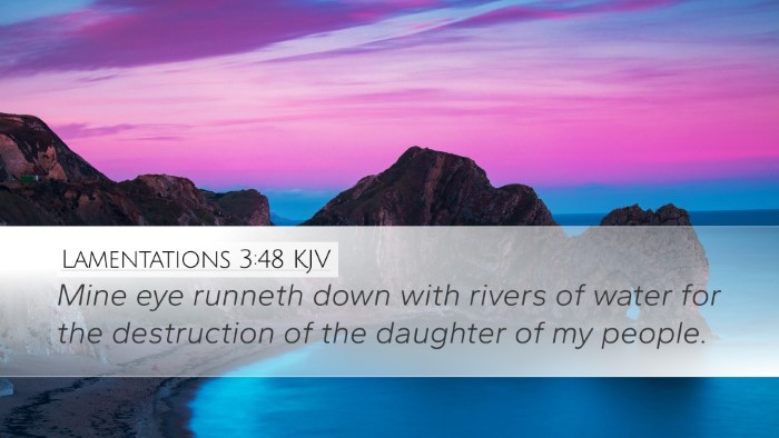 Lamentations 3:48 KJV Bible Verse Image