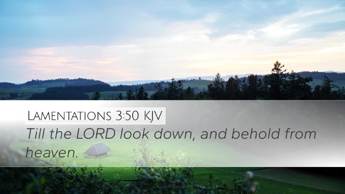 Lamentations 3:50 KJV Bible Verse Image