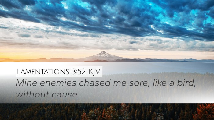 Lamentations 3:52 KJV Bible Verse Image