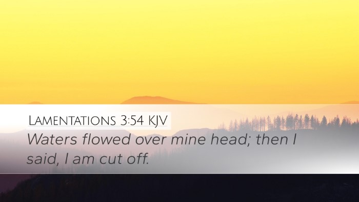 Lamentations 3:54 KJV Bible Verse Image