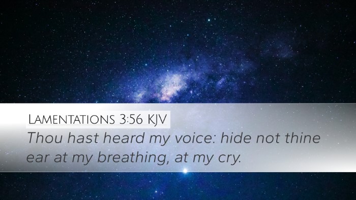 Lamentations 3:56 KJV Desktop Wallpaper - Thou hast heard my voice: hide not thine ear at - Desktop Bible Verse Wallpaper