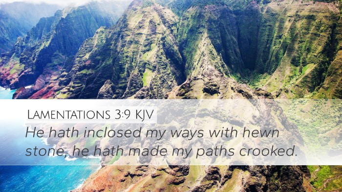 Lamentations 3:9 KJV Bible Verse Image