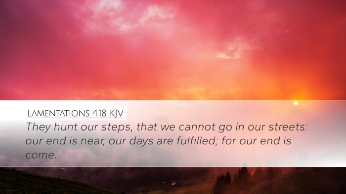 Lamentations 4:18 KJV Bible Verse Image