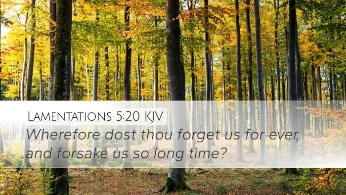 Lamentations 5:20 KJV Bible Verse Image
