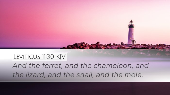 Leviticus 11:30 KJV Desktop Wallpaper - And the ferret, and the chameleon, and the - Desktop Bible Verse Wallpaper