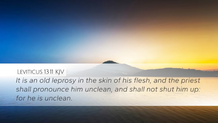 Leviticus 13:11 KJV Desktop Wallpaper - It is an old leprosy in the skin of his flesh, - Desktop Bible Verse Wallpaper