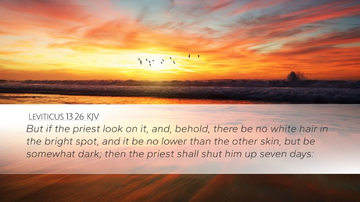 Leviticus 13:26 KJV Desktop Wallpaper - But if the priest look on it, and, behold, there - Desktop Bible Verse Wallpaper
