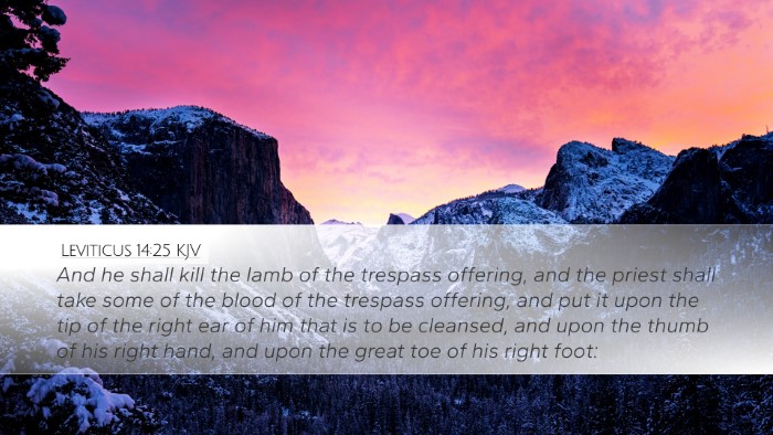 Leviticus 14:25 KJV Bible Verse Image