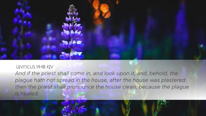 Leviticus 14:48 KJV Desktop Wallpaper - And if the priest shall come in, and look upon - Desktop Bible Verse Wallpaper
