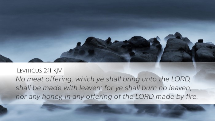 Leviticus 2:11 KJV Bible Verse Image