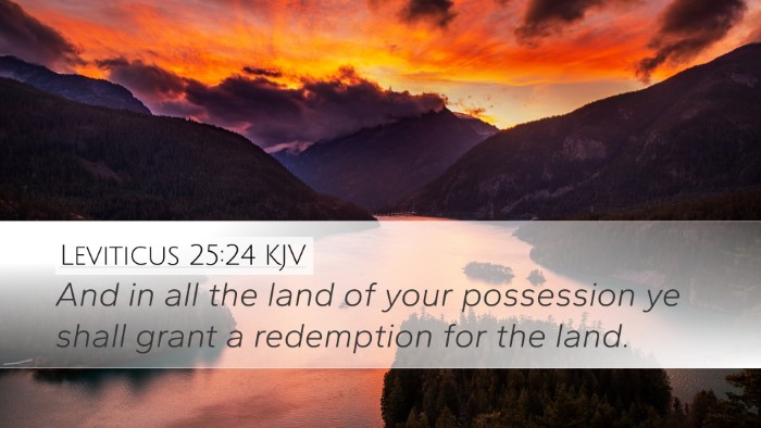 Leviticus 25:24 KJV Desktop Wallpaper - And in all the land of your possession ye shall - Desktop Bible Verse Wallpaper
