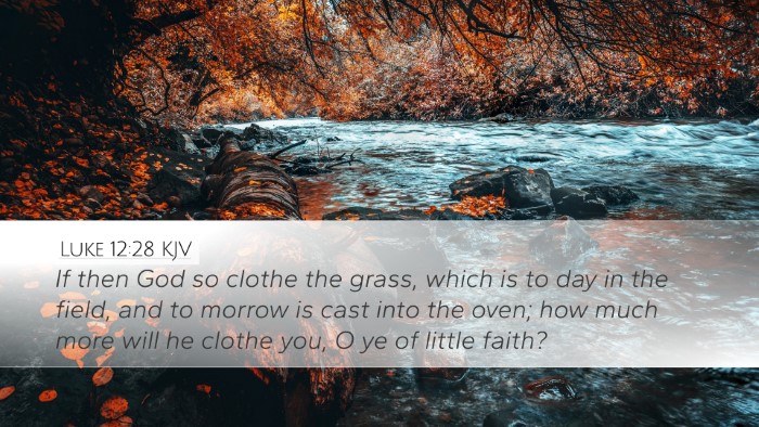 Luke 12:28 KJV Bible Verse Image