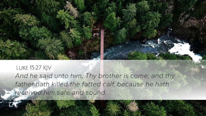 Luke 15:27 KJV Desktop Wallpaper - And he said unto him, Thy brother is come; and - Desktop Bible Verse Wallpaper