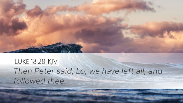 Luke 18:28 KJV Bible Verse Image