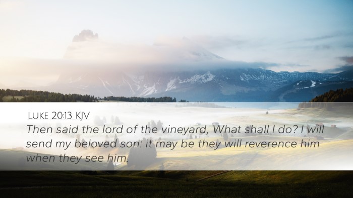 Luke 20:13 KJV Desktop Wallpaper - Then said the lord of the vineyard, What shall I - Desktop Bible Verse Wallpaper