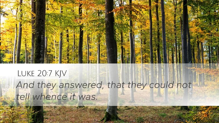 Luke 20:7 KJV Bible Verse Image