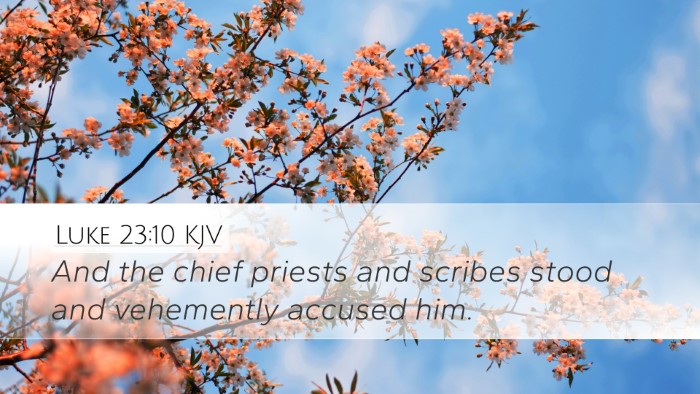 Luke 23:10 KJV Bible Verse Image