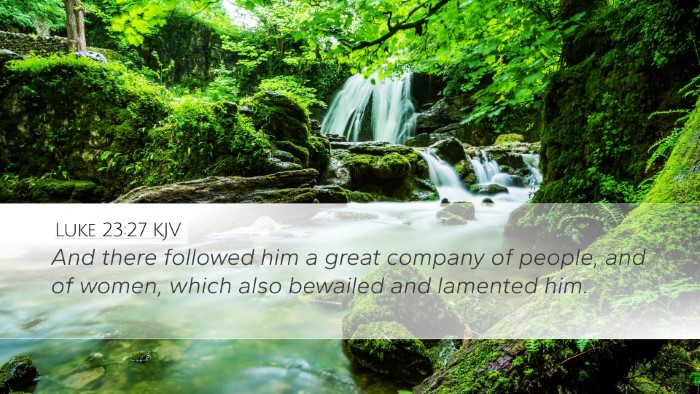 Luke 23:27 KJV Bible Verse Image