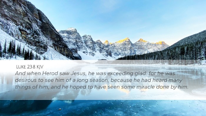 Luke 23:8 KJV Bible Verse Image
