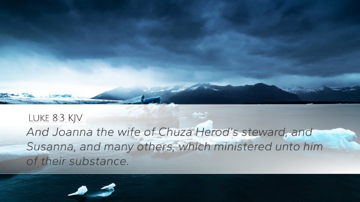 Luke 8:3 KJV Bible Verse Image