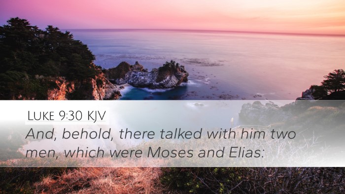 Luke 9:30 KJV Bible Verse Image