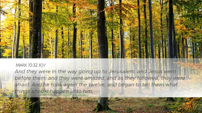 Mark 10:32 KJV Bible Verse Image