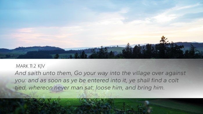 Mark 11:2 KJV Bible Verse Image