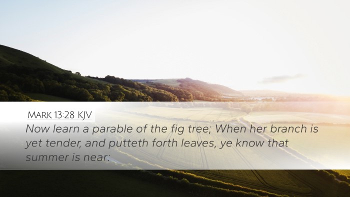 Mark 13:28 KJV Bible Verse Image