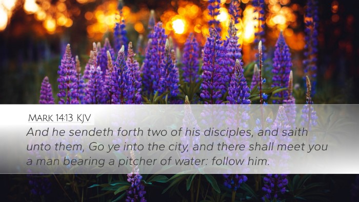 Mark 14:13 KJV Bible Verse Image