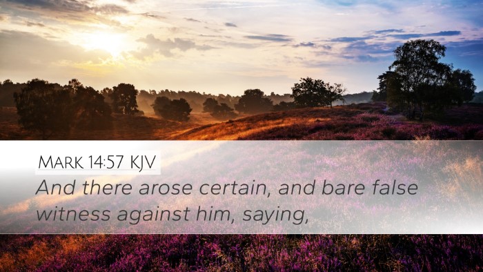 Mark 14:57 KJV Bible Verse Image