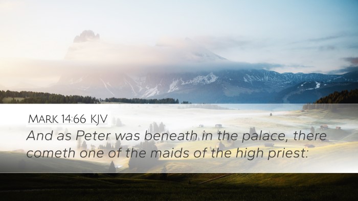 Mark 14:66 KJV Bible Verse Image