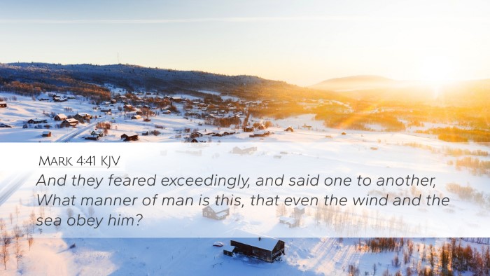 Mark 4:41 KJV Bible Verse Image