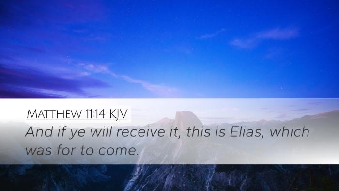 Matthew 11:14 KJV Bible Verse Image