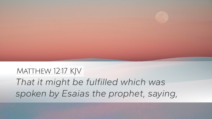 Matthew 12:17 KJV Bible Verse Image