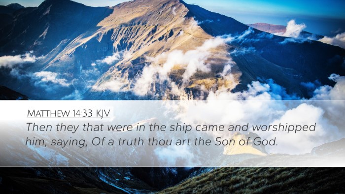 Matthew 14:33 KJV Bible Verse Image