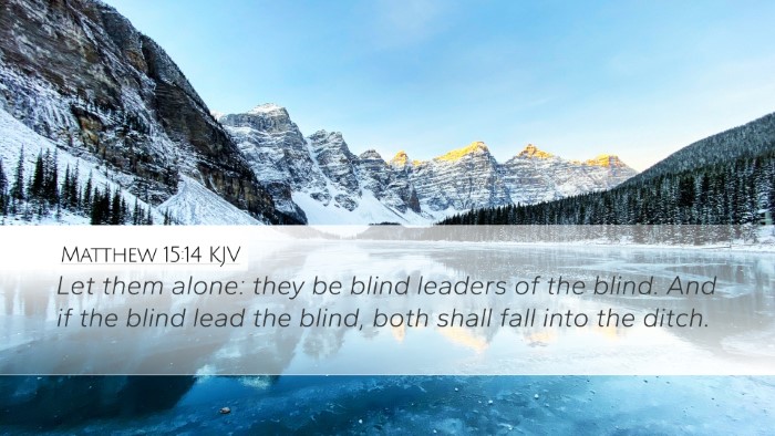 Matthew 15:14 KJV Bible Verse Image