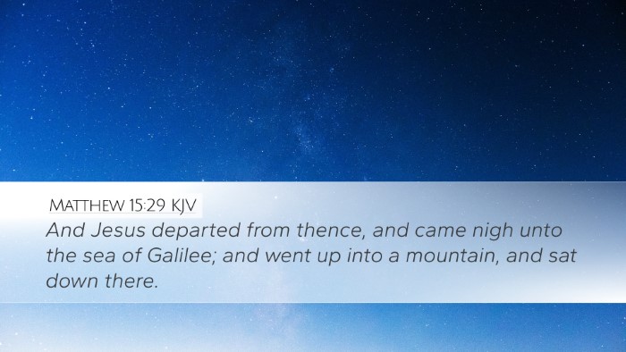Matthew 15:29 KJV Bible Verse Image