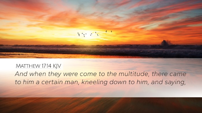 Matthew 17:14 KJV Bible Verse Image