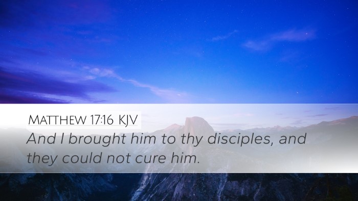 Matthew 17:16 KJV Desktop Wallpaper - And I brought him to thy disciples, and they - Desktop Bible Verse Wallpaper