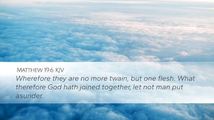 Matthew 19:6 KJV Bible Verse Image